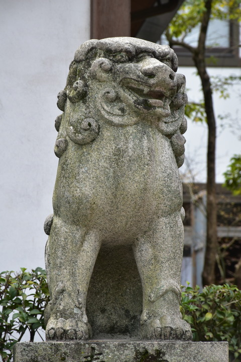 KOM_0965