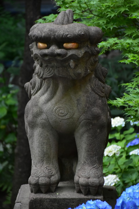 DSC_1664