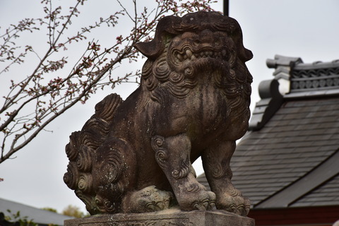 KOM_0989