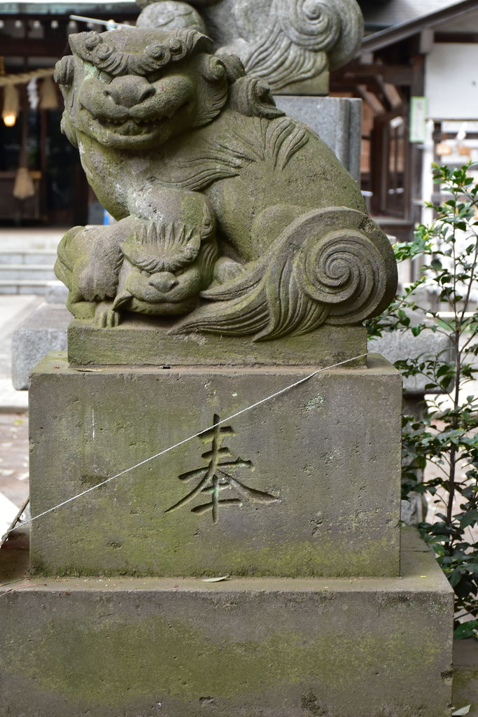 下高井戸浜田山八幡神社の狛犬達 東京狛犬俱楽部 Blog 下高井戸浜田山八幡神社の狛犬達 東京狛犬俱楽部 Blog
