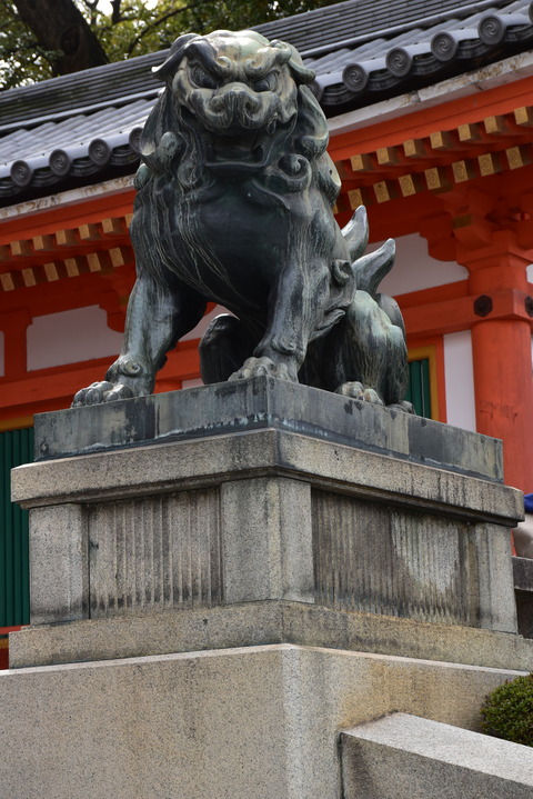 KOM_0892