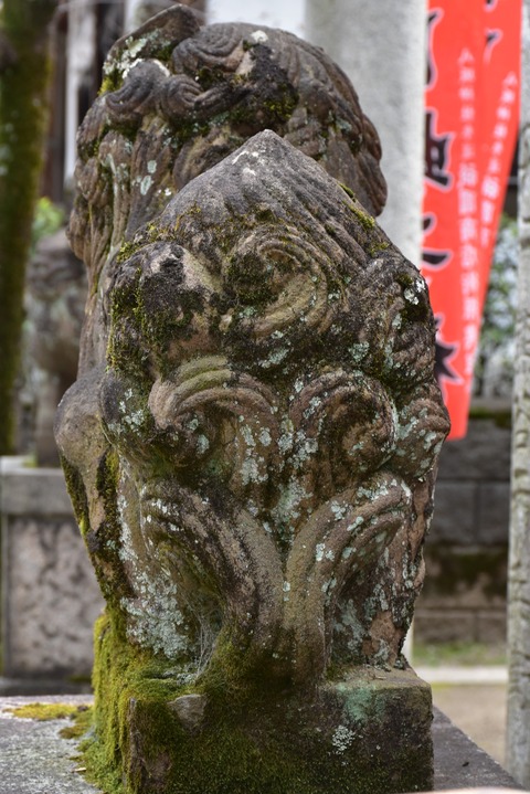 KOM_0950