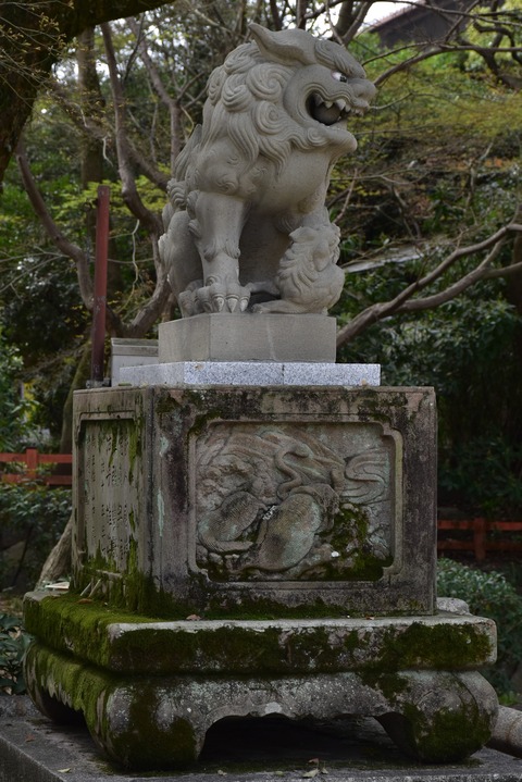 KOM_0917