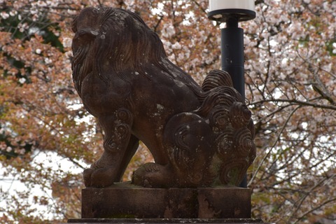 KOM_0995