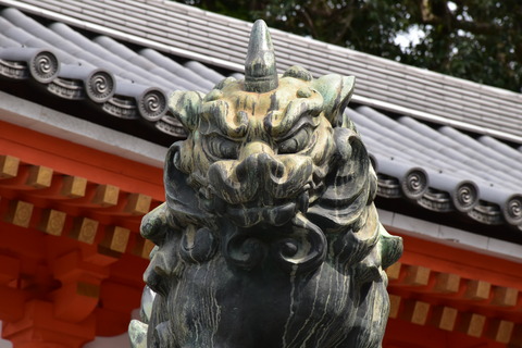 KOM_0914