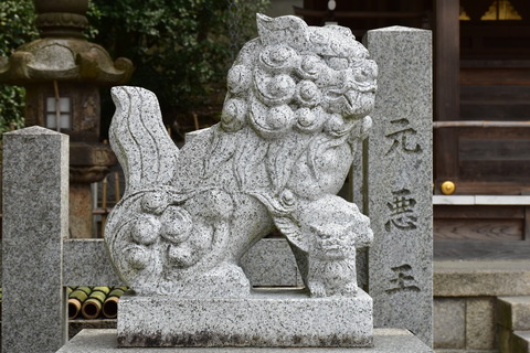 KOM_1028