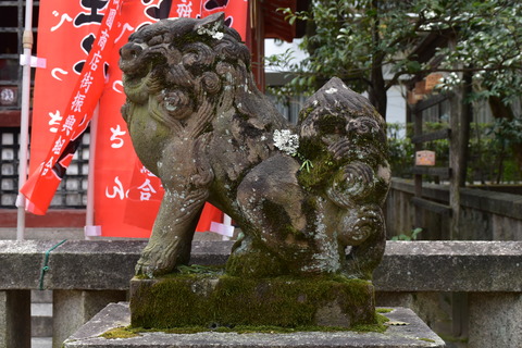 KOM_0942