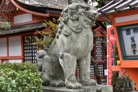 KOM_0972