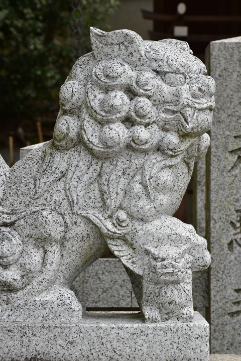 KOM_1029