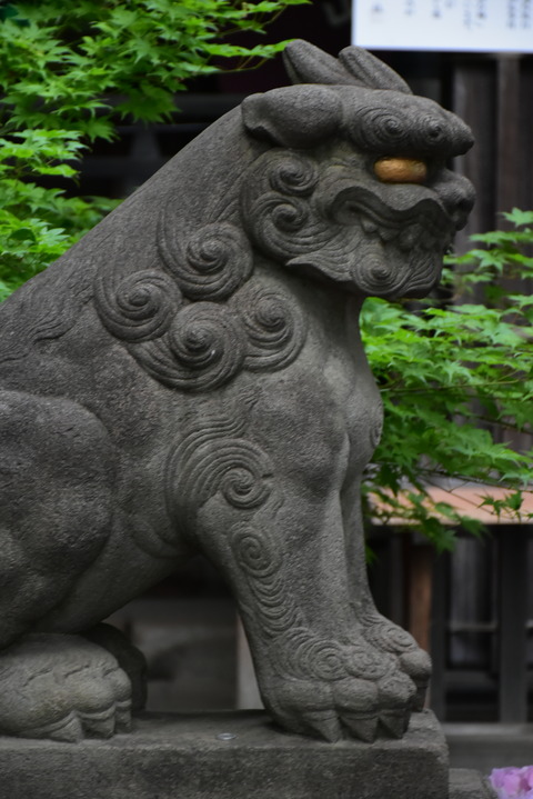 DSC_1636