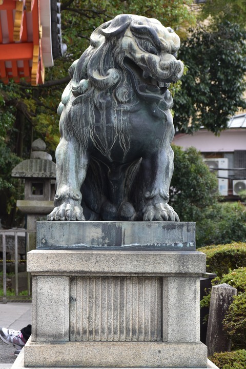KOM_0894