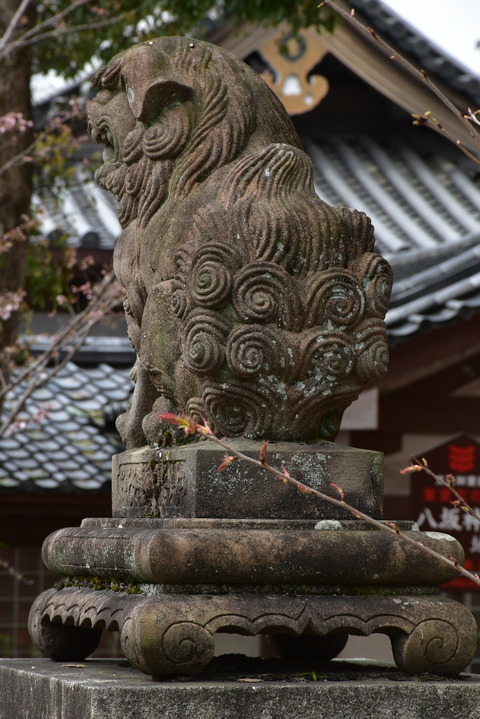KOM_0996