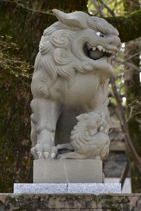 KOM_0920