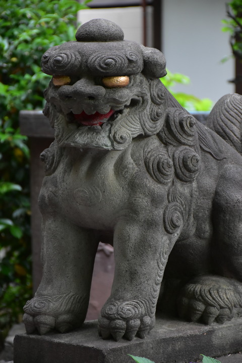 DSC_1638