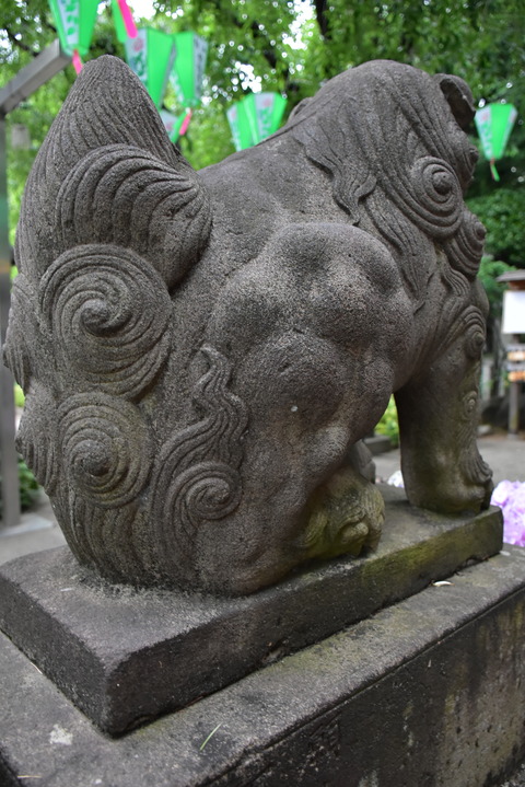 DSC_1648