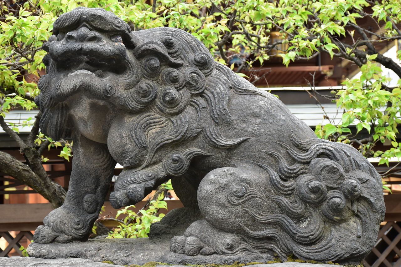 湯島天満宮の狛犬達 東京狛犬俱楽部 Blog