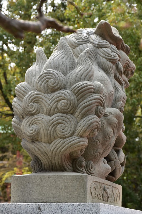 KOM_0925