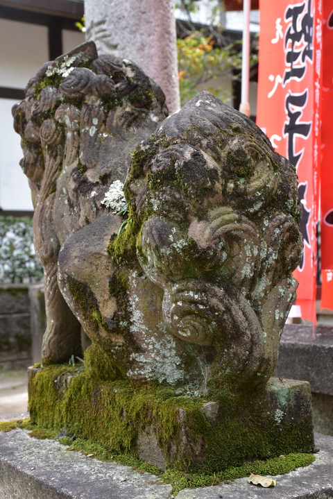 KOM_0961