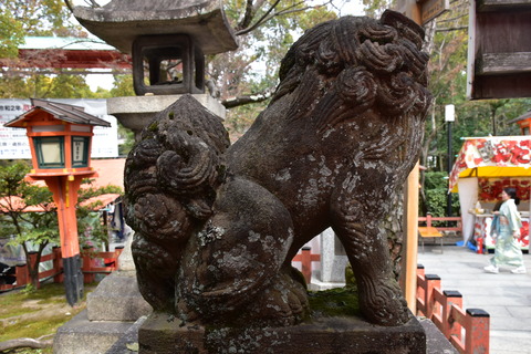 KOM_0952