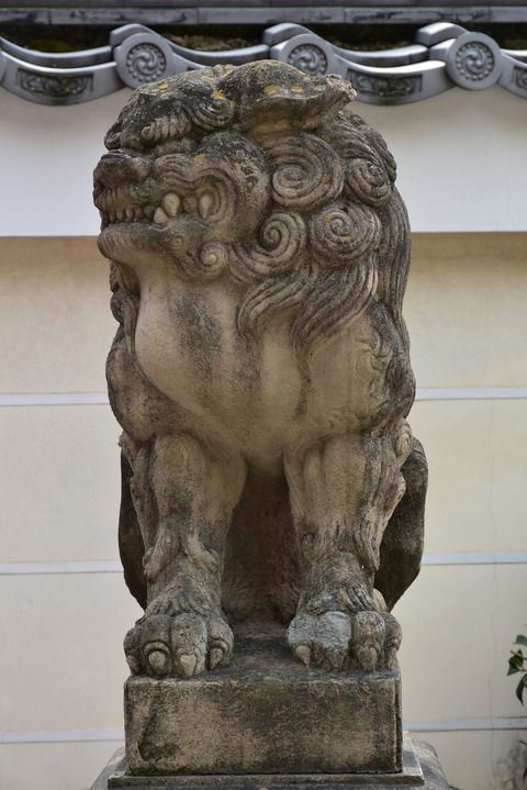 KOM_1050