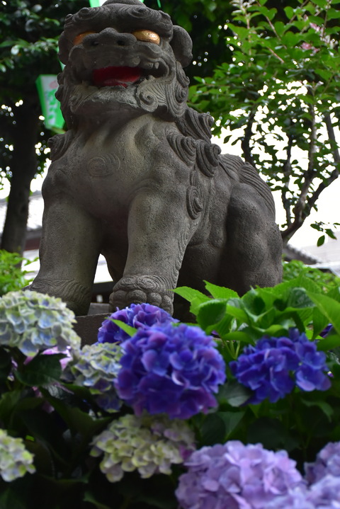 DSC_1643