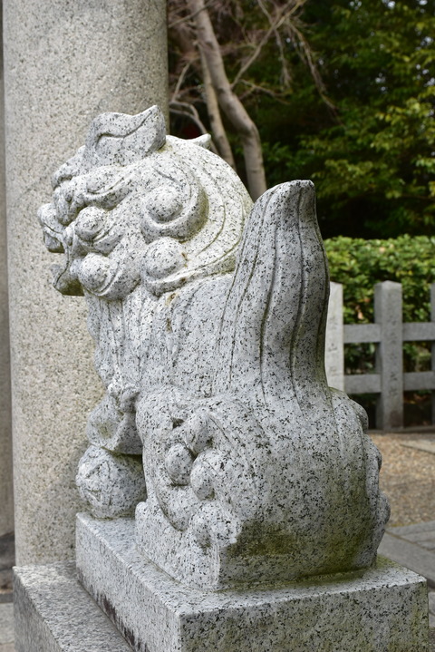 KOM_1036