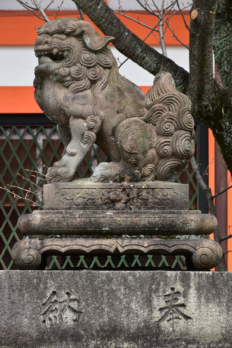 KOM_0985