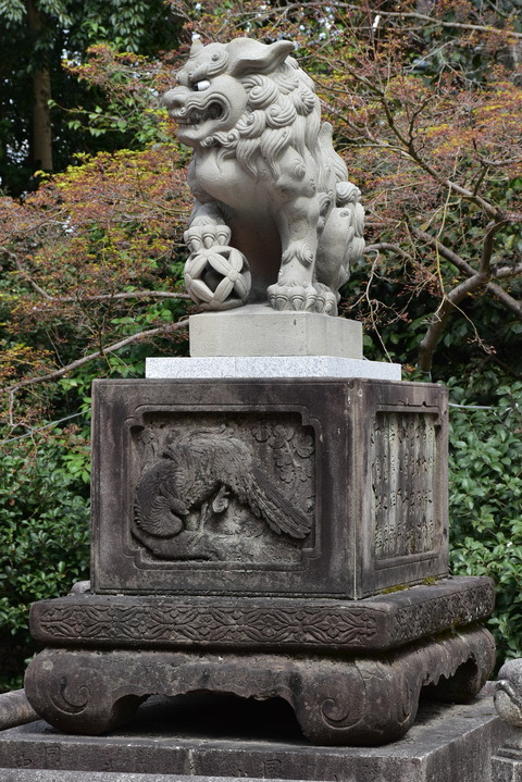 KOM_0918