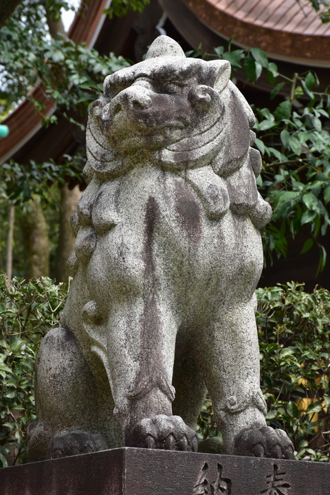KOM_0969