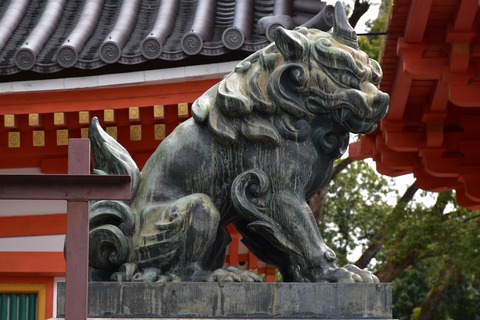 KOM_0891