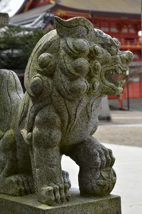 KOM_1032