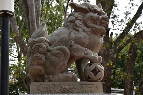 KOM_0923