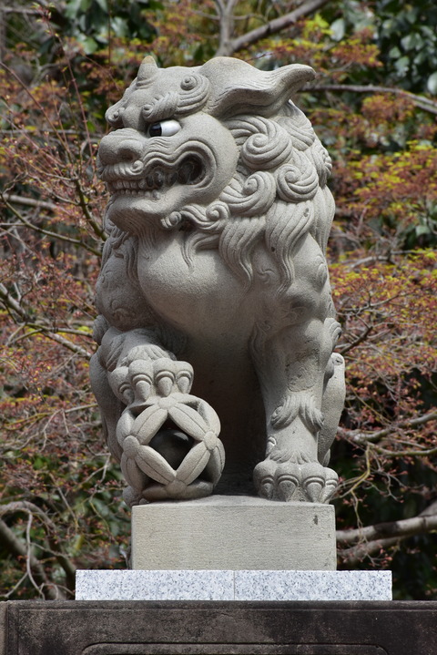 KOM_0919