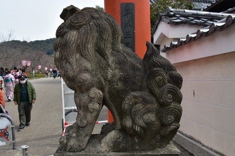 KOM_1052