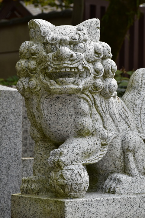 KOM_1030