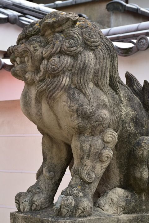 KOM_1059