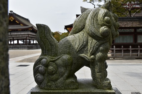 KOM_1035
