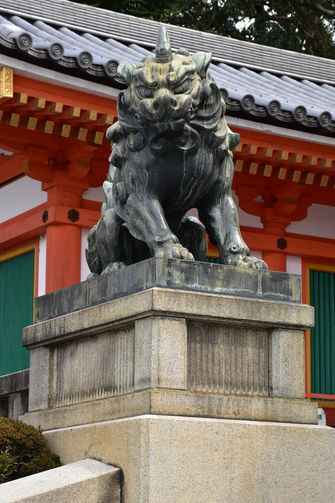 KOM_0893