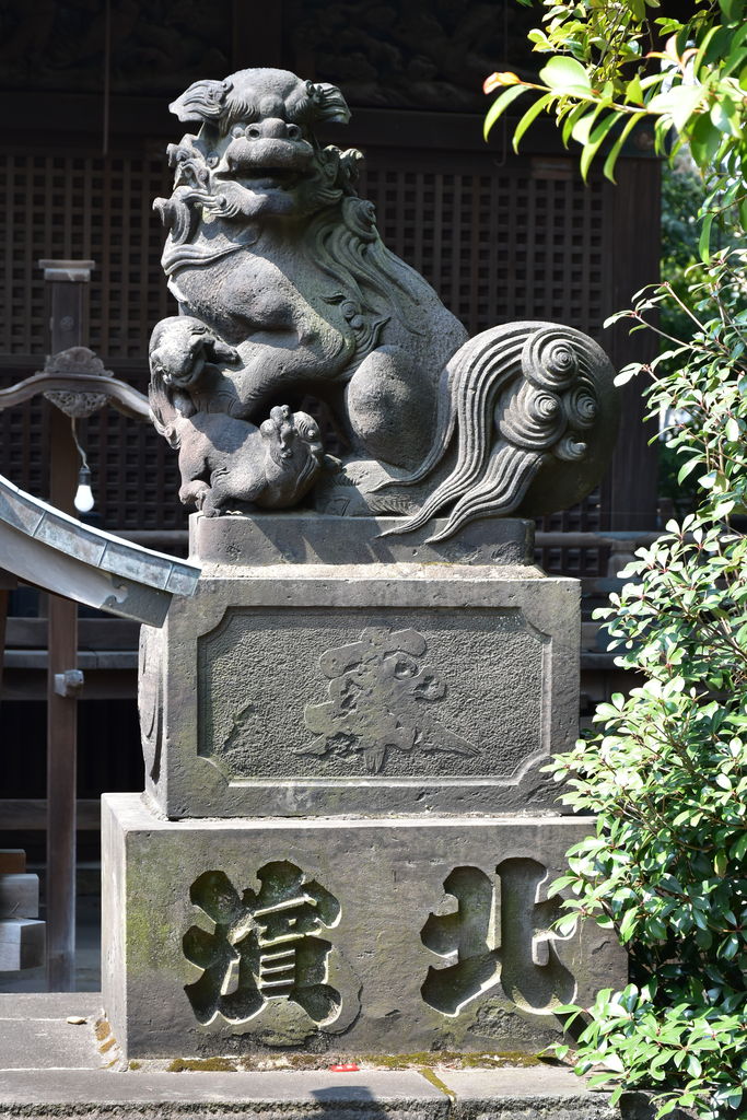 荏原神社の狛犬達 東京狛犬俱楽部 Blog