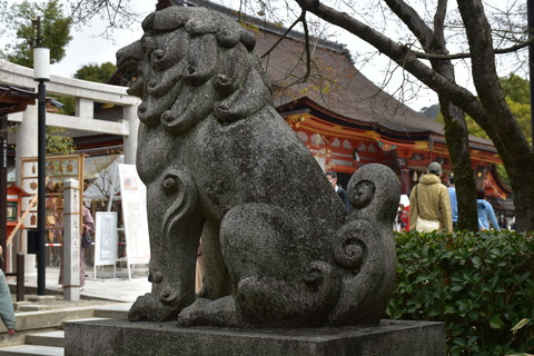 KOM_0978