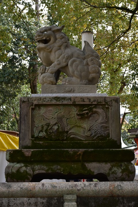 KOM_0915