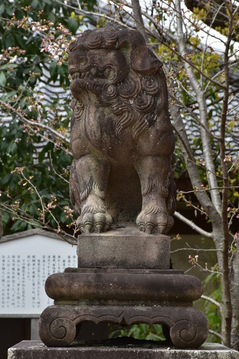 KOM_0993