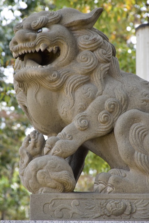 KOM_0922