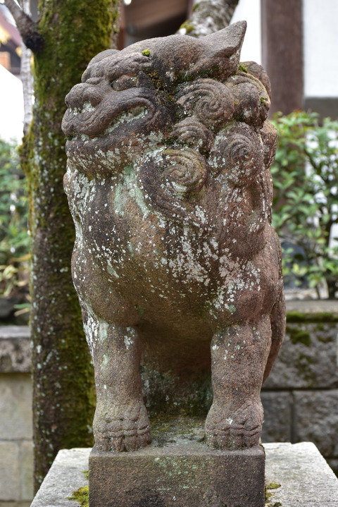 KOM_0949