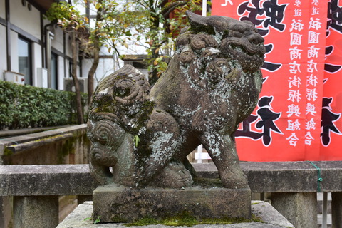 KOM_0944