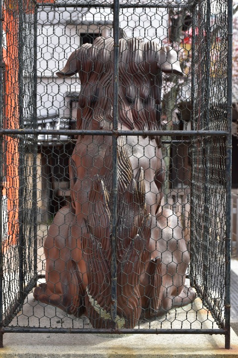 KOM_1013