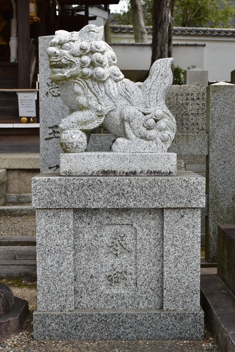 KOM_1024
