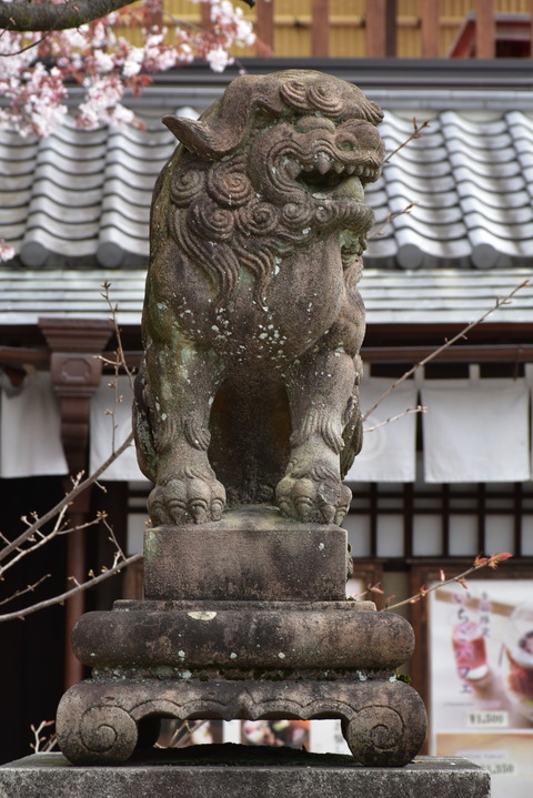 KOM_0992