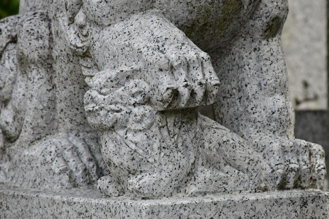 KOM_1041