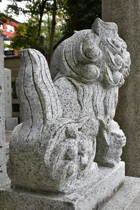 KOM_1037